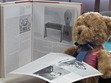 Please tell us what you think our little Lowther Hall Bear is saying or maybe a comment about what he is doing? Reading of course, shame about the book falling apart...post your caption, there could be prizes!