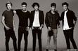 they are so beautiful!