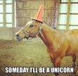 let this horse inspire us to believe and be happy. if you believe you shall be a unicorn!