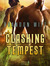Clashing Tempest