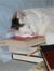 Nell Hits the Books