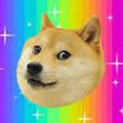 WOOF