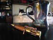 Cat, wizard mug and steampunk pen.
