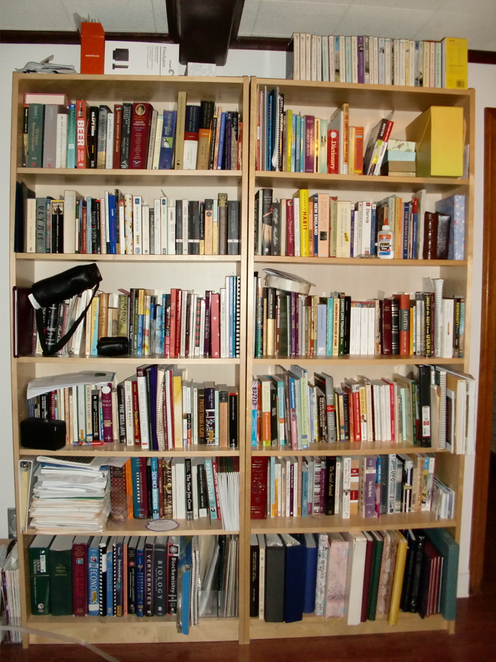 basement bookshelves