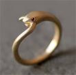 The snake ring from Bearing an Hourglass by Piers Anthony