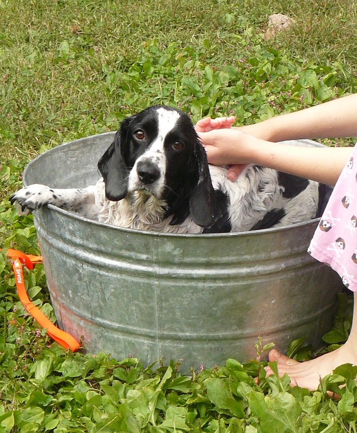 Patches in the tub