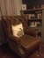 The reading chair