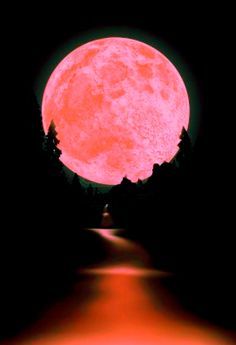 PINKMOON
