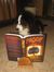 Rocky reading his favorite novel.