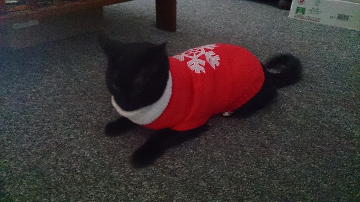Sookie