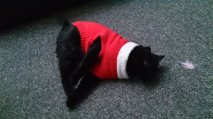 Sookie2