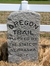 The Oregon Trail