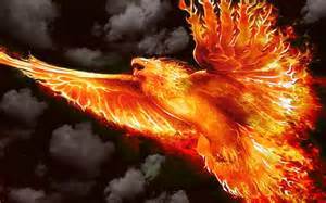 Firebirds and Books