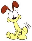 Odie 