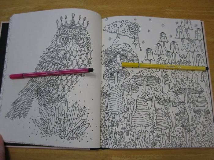 Summer Nights Coloring Book: Originally Published in Sweden as