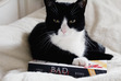 cats and books