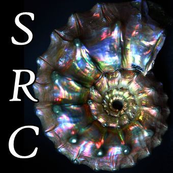 SRC banner