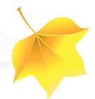YELLOW LEAF02