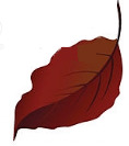 LEAF BROWN01