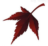 DARK BROWN LEAF03