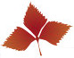 BROWN LEAF04