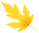 YELLOW LEAF03