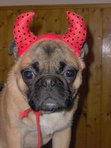The Devil Made Him Do It!!
