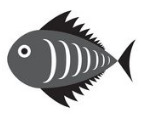 FISH03
