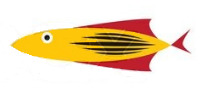 FISH06
