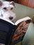 Scottie reading THEY