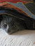 Lillie playing peek-a-boo