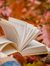 Book in Autumn