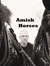 Amish Horses and Thomas Nye