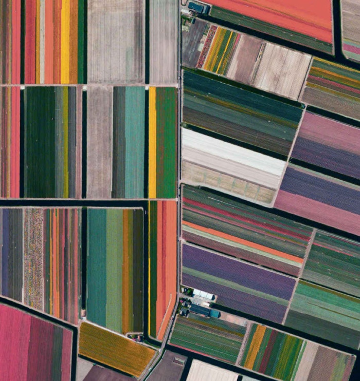 uniform strips of multicolored tulips, arranged in pleasing geometric shapes