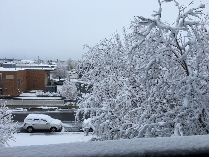 Snowy morning