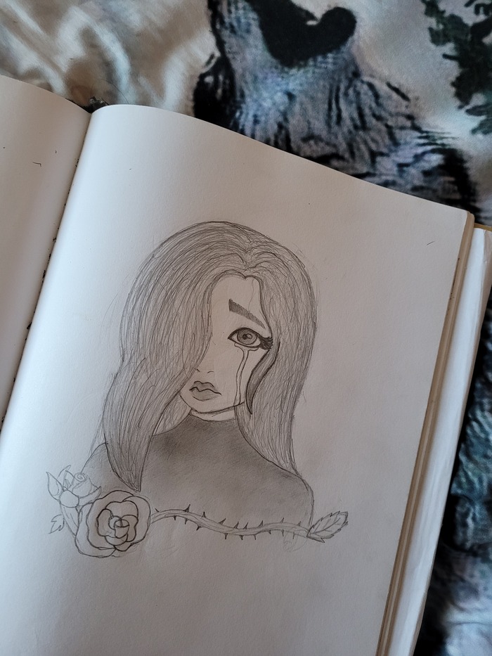 I drew this a few days ago...It's not great but it's decent ig