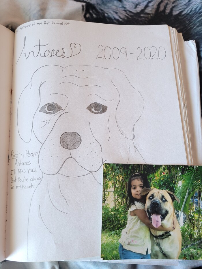 I made this after my dog died...