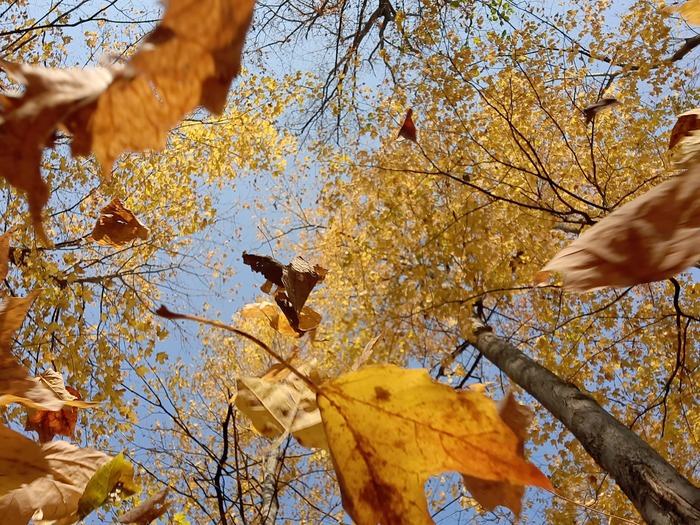 Taken on Fall of 2021