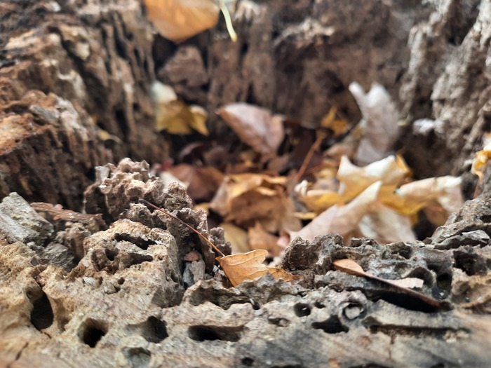 Taken during Fall of 2021