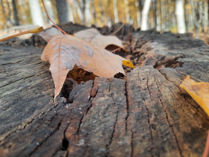 Taken during Fall of 2021