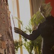 Madame Vastra 