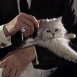 Ernst Stavro Blofeld 