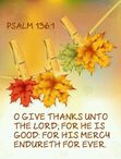 Have a safe and blessed Thanksgiving!