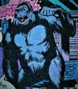 Gorilla Grodd Gorilla Grodd Gorilla Grodd Gorilla Grodd