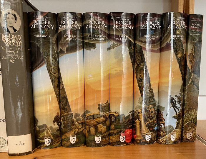photo of spines of the series