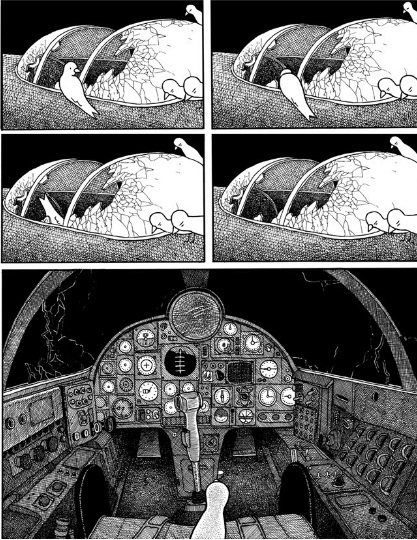 birds examining the cockpit