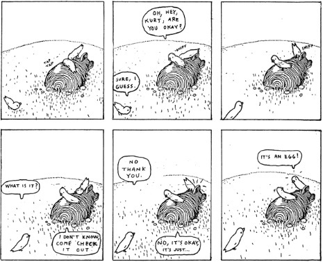 birds examining the unexploded bomb