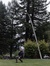 swing