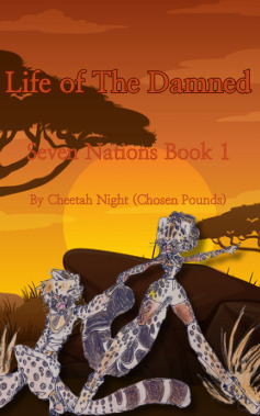 Cover art for my new novel