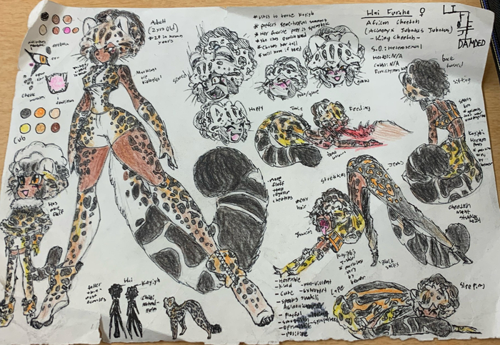 She is a King Cheetah. she is cute right?<br /><br />Life of the Damned is a novel, the first of the Seven Nations Series